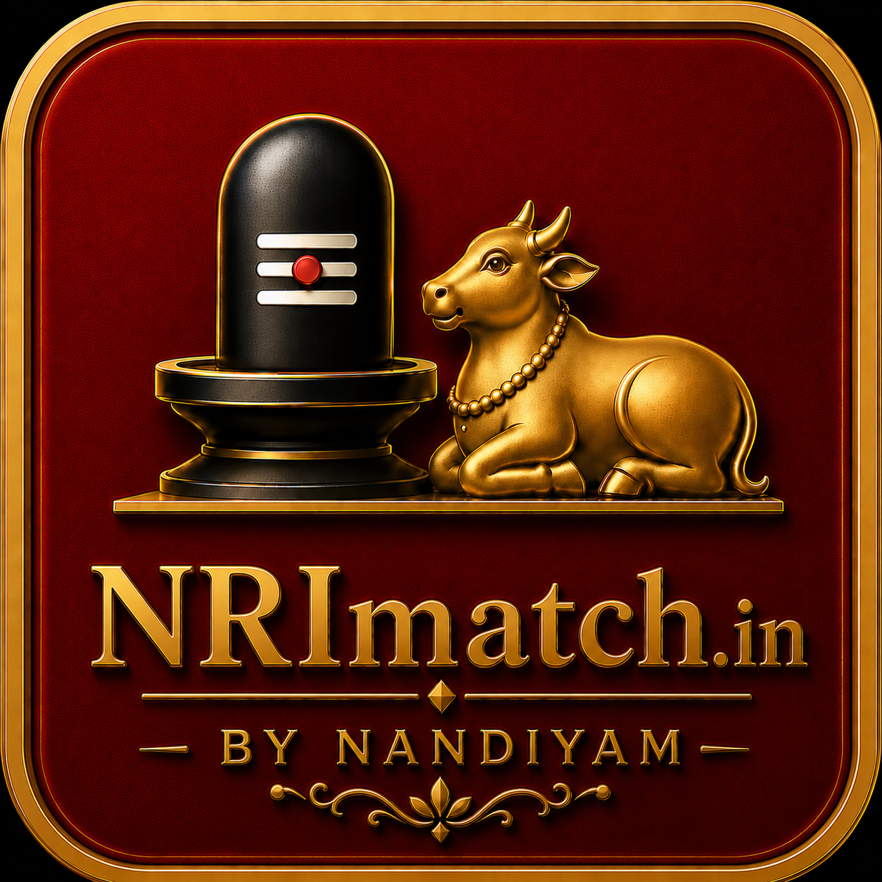 NRI Match logo